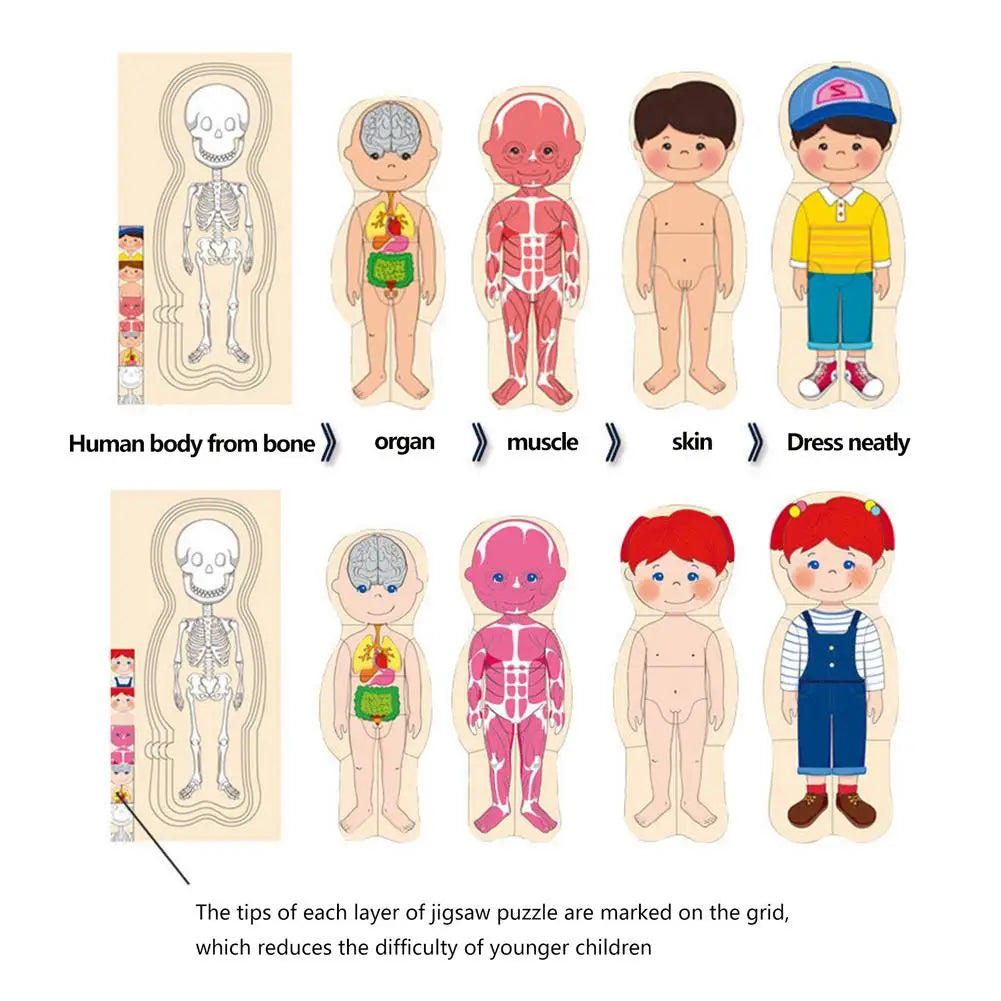 Human Body Puzzle Wooden Boys Girls Body Structure Children Puzzles Montessori Educational Children Toys Kids Toys - Pape'sShop
