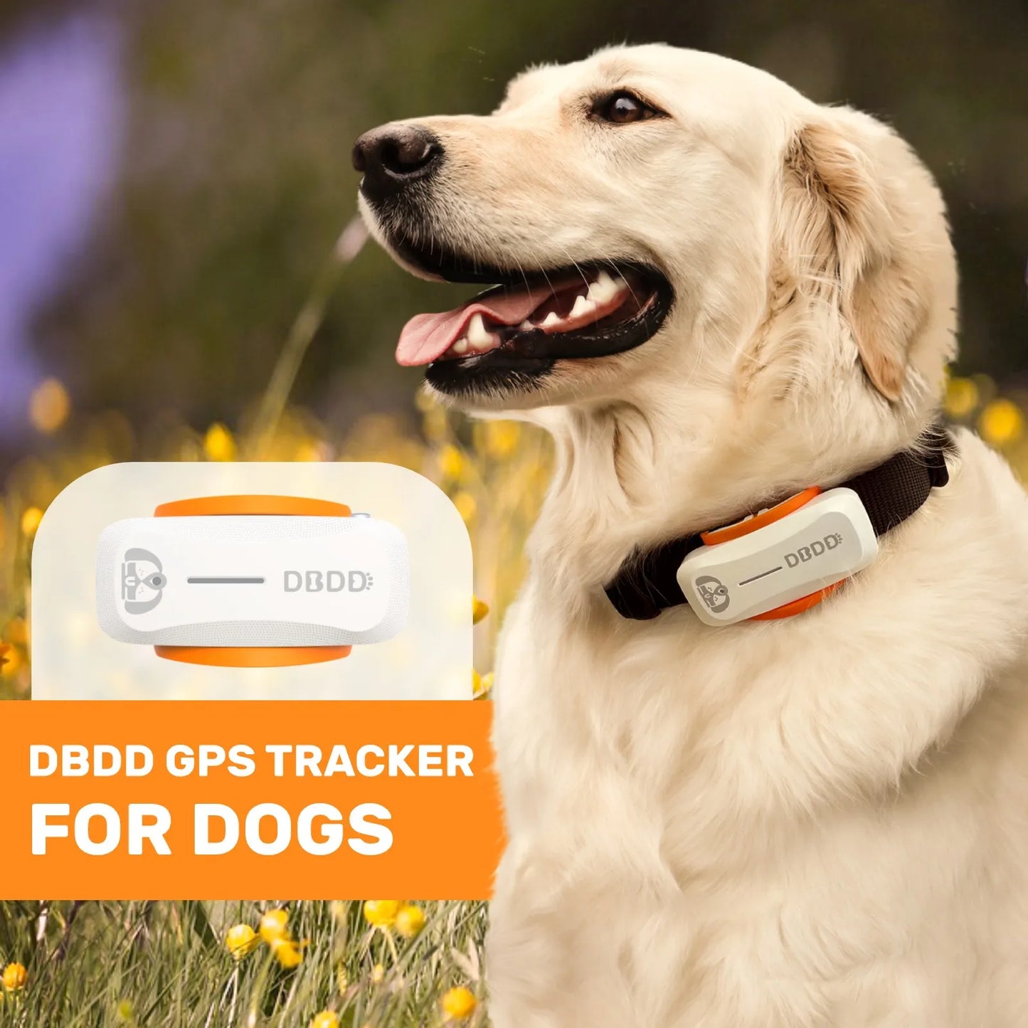 Dog GPS Tracker Smart GPS Tracker Dogs Real Time Location Escape Alerts Activity Tracking Waterproof Compatible with iOS Android - Pape'sShop