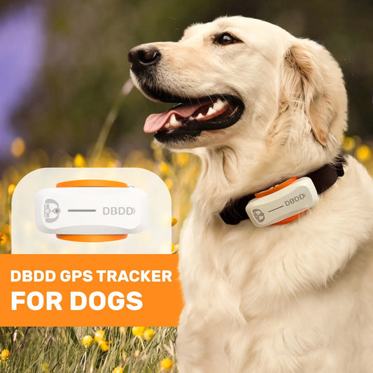 Dog GPS Tracker Smart GPS Tracker Dogs Real Time Location Escape Alerts Activity Tracking Waterproof Compatible with iOS Android - Pape'sShop