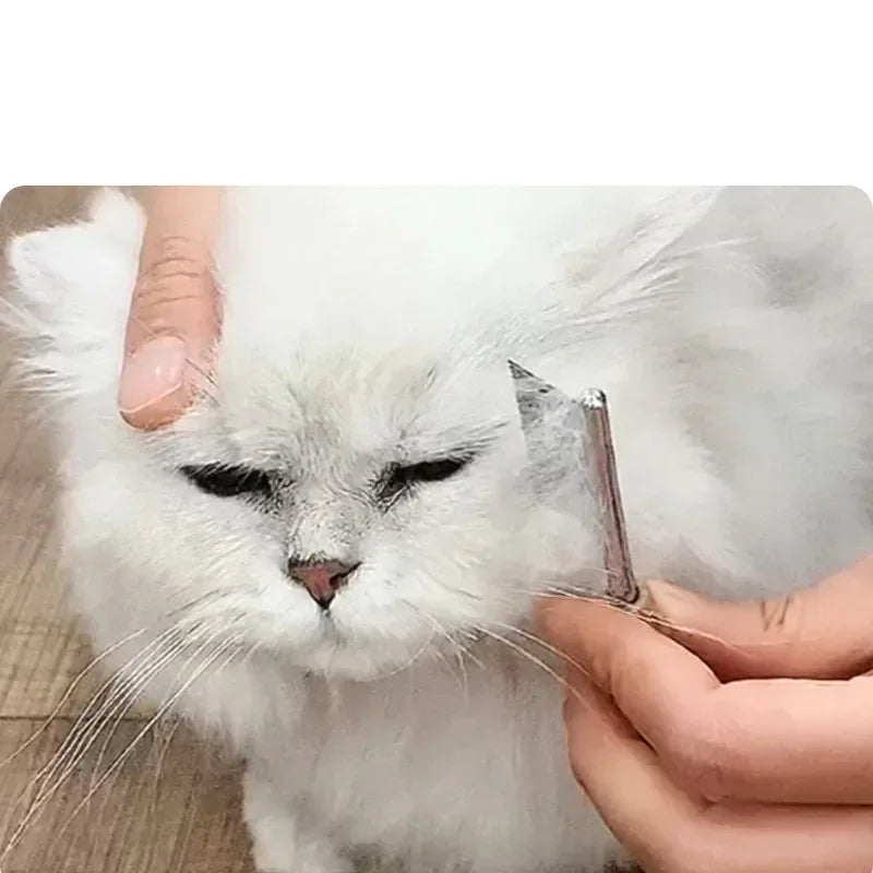 Stainless steel cat and dog facial hair cleaning comb mini pet grooming brush dense tooth small comb dog and cat accessories - Pape'sShop