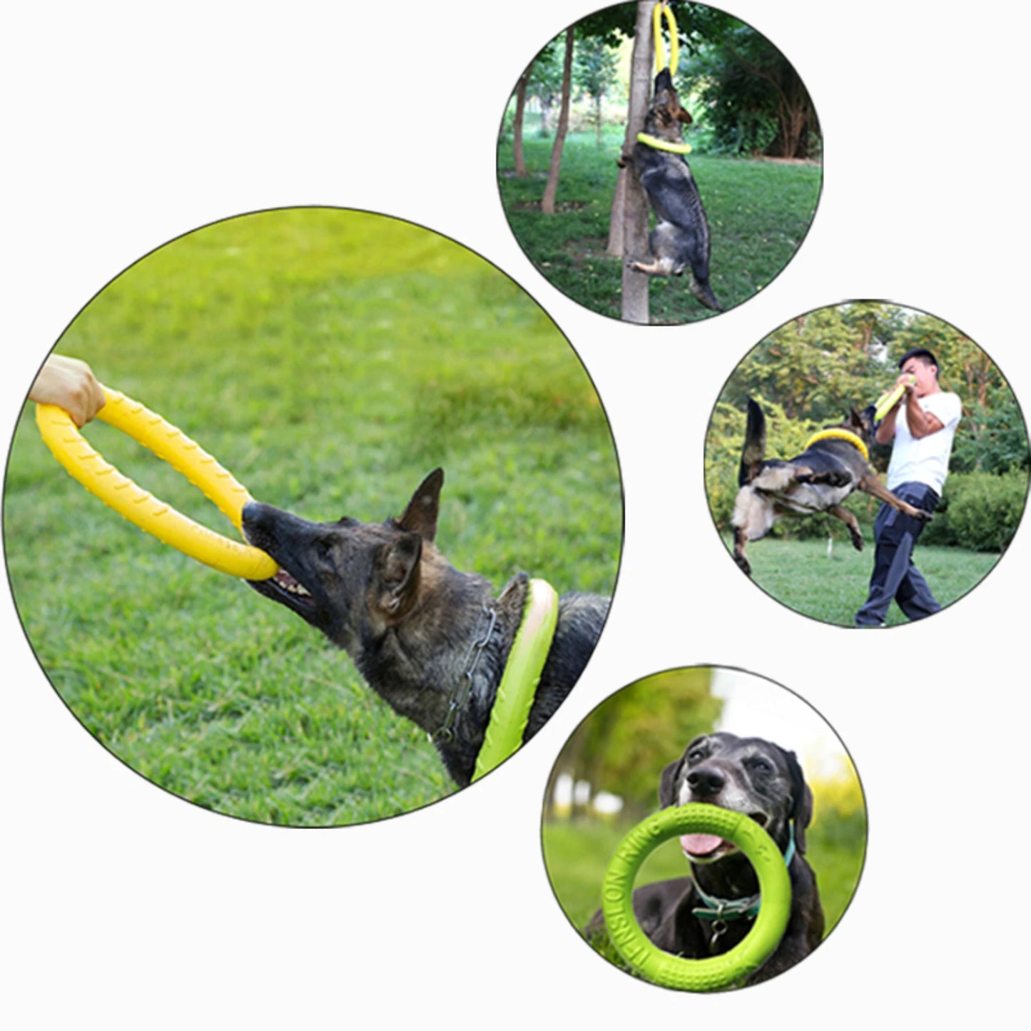 Engaging and Durable Pet-friendly Flying Disk Dog - Pape'sShop