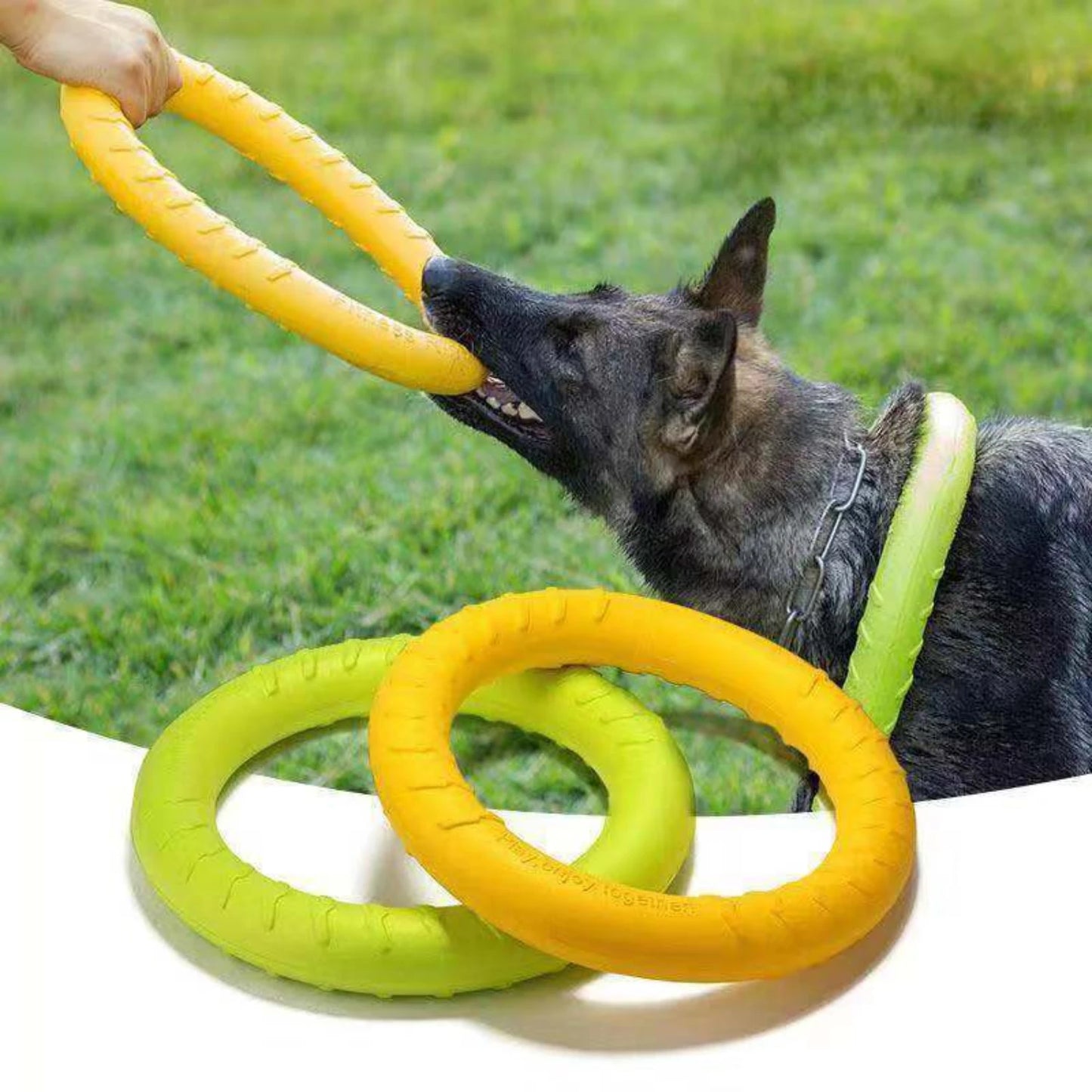 Engaging and Durable Pet-friendly Flying Disk Dog - Pape'sShop