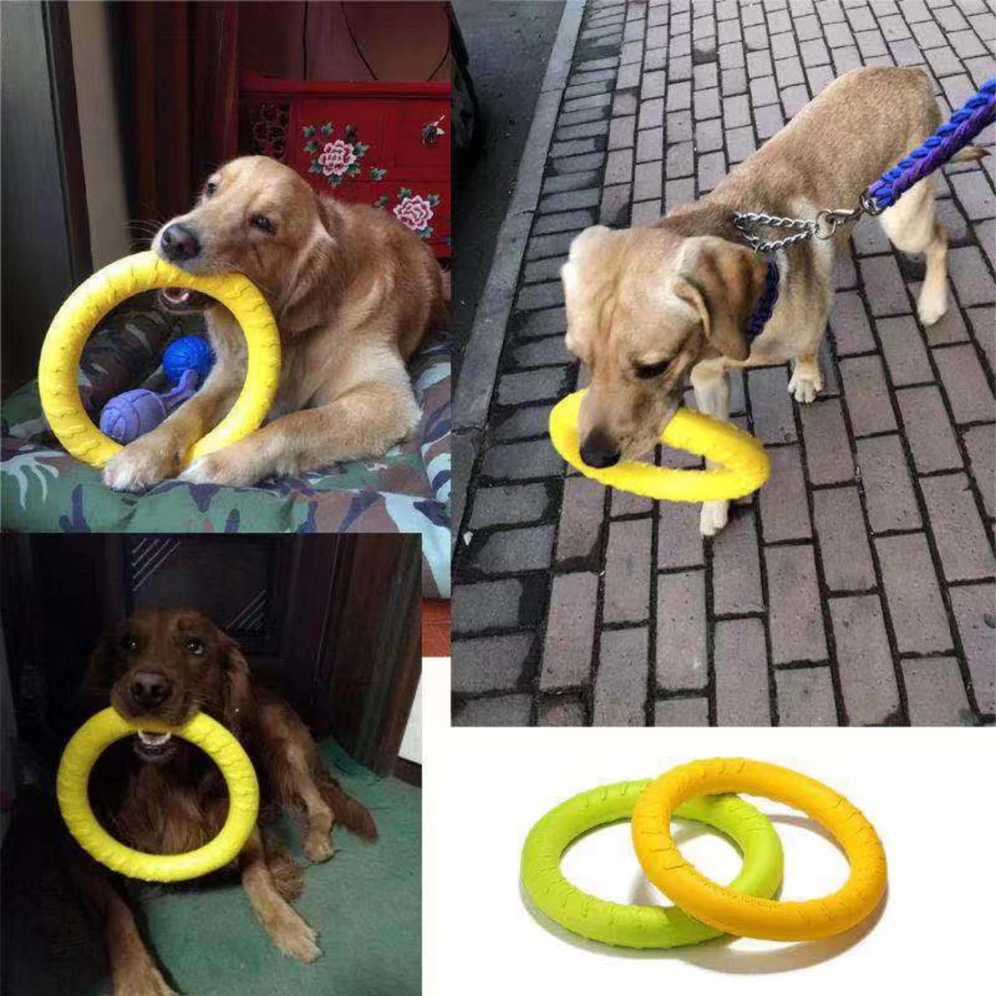 Engaging and Durable Pet-friendly Flying Disk Dog - Pape'sShop