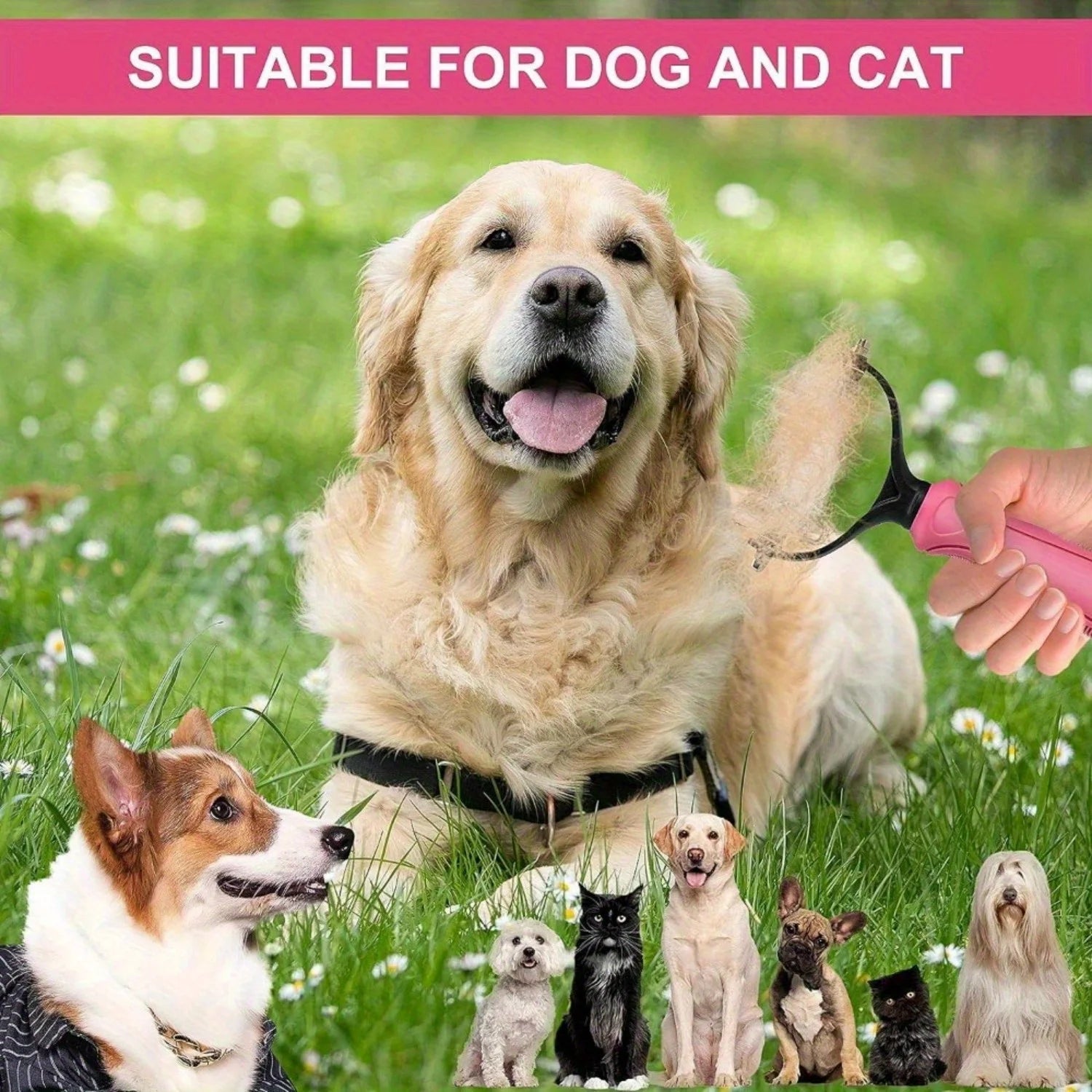 Undercoat Rake for Dogs, 2 Side Undercoat Brush for Deshedding and Dematting for Dog Cat Rabbit, Professional Pet Grooming - Pape'sShop