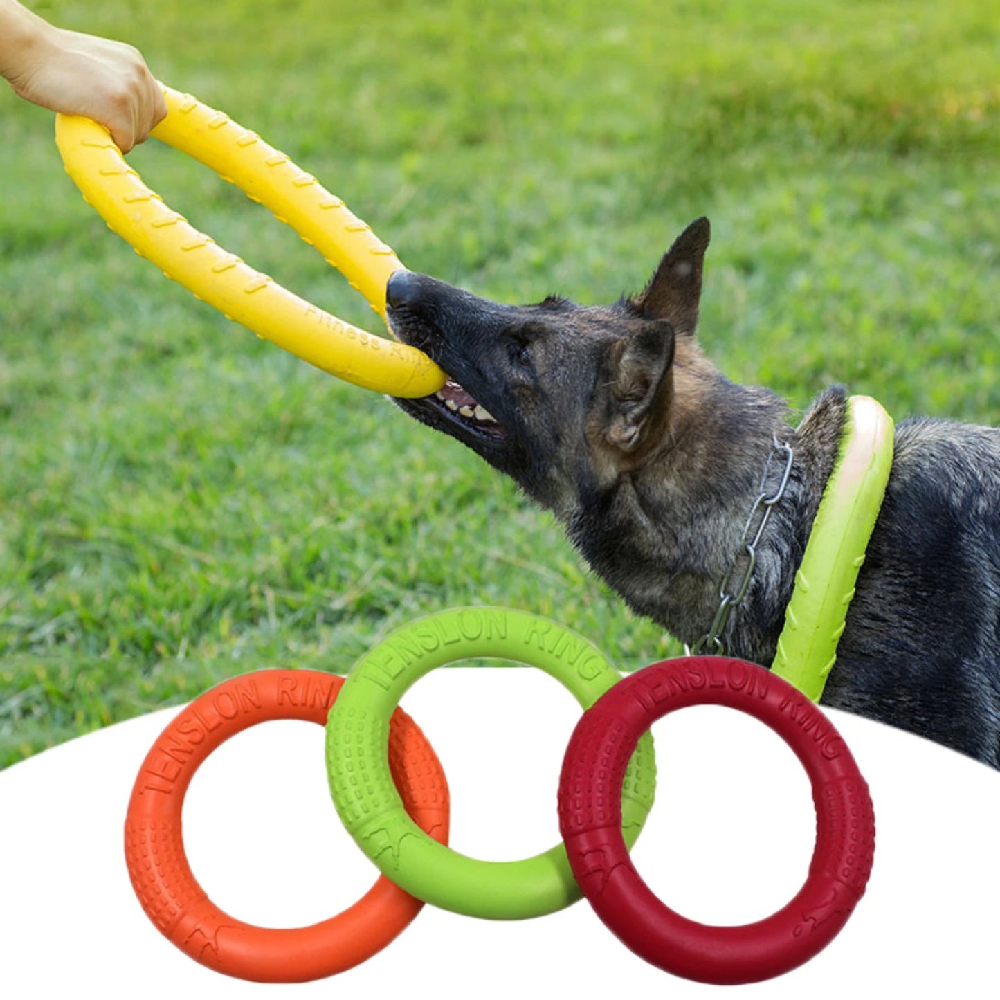 Engaging and Durable Pet-friendly Flying Disk Dog - Pape'sShop