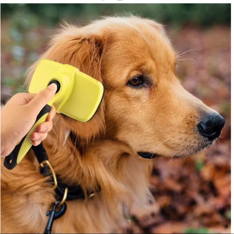 Puppy Auto Hair Clean Dog Brush Waterproof Small Large Dog Pet Grooming Comb Massage Cat Tools Fits Various Hair Remover - Pape'sShop