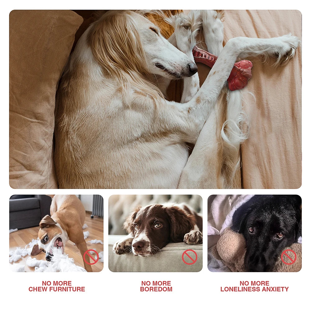 MASBRILL Dog Toys Aggressive Chewers Large Dogs Bone-Shaped Indestructible Dog Toys Nylon Interactive Dog Toys Teeth Cleaning - Pape'sShop