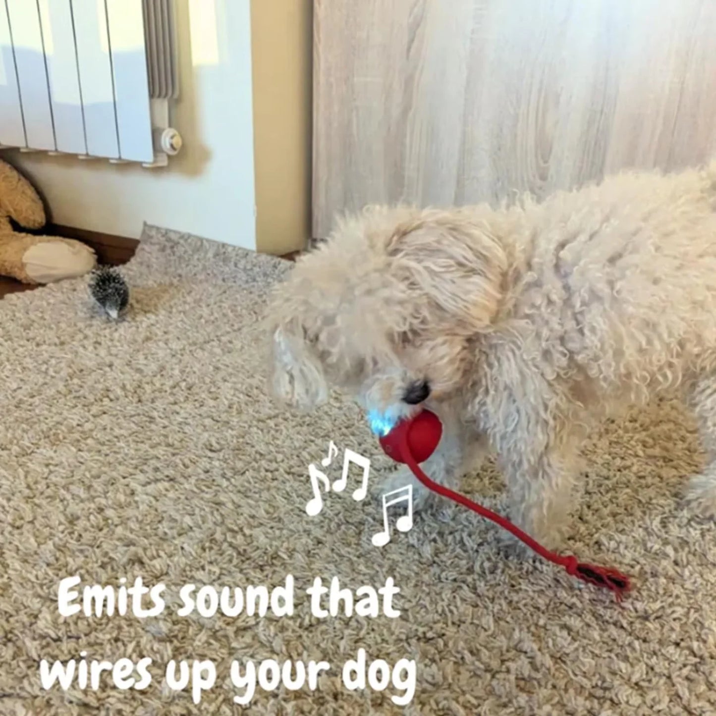 Interactive  Rolling Ball Smart Automatic Rolling - Pape'sShop