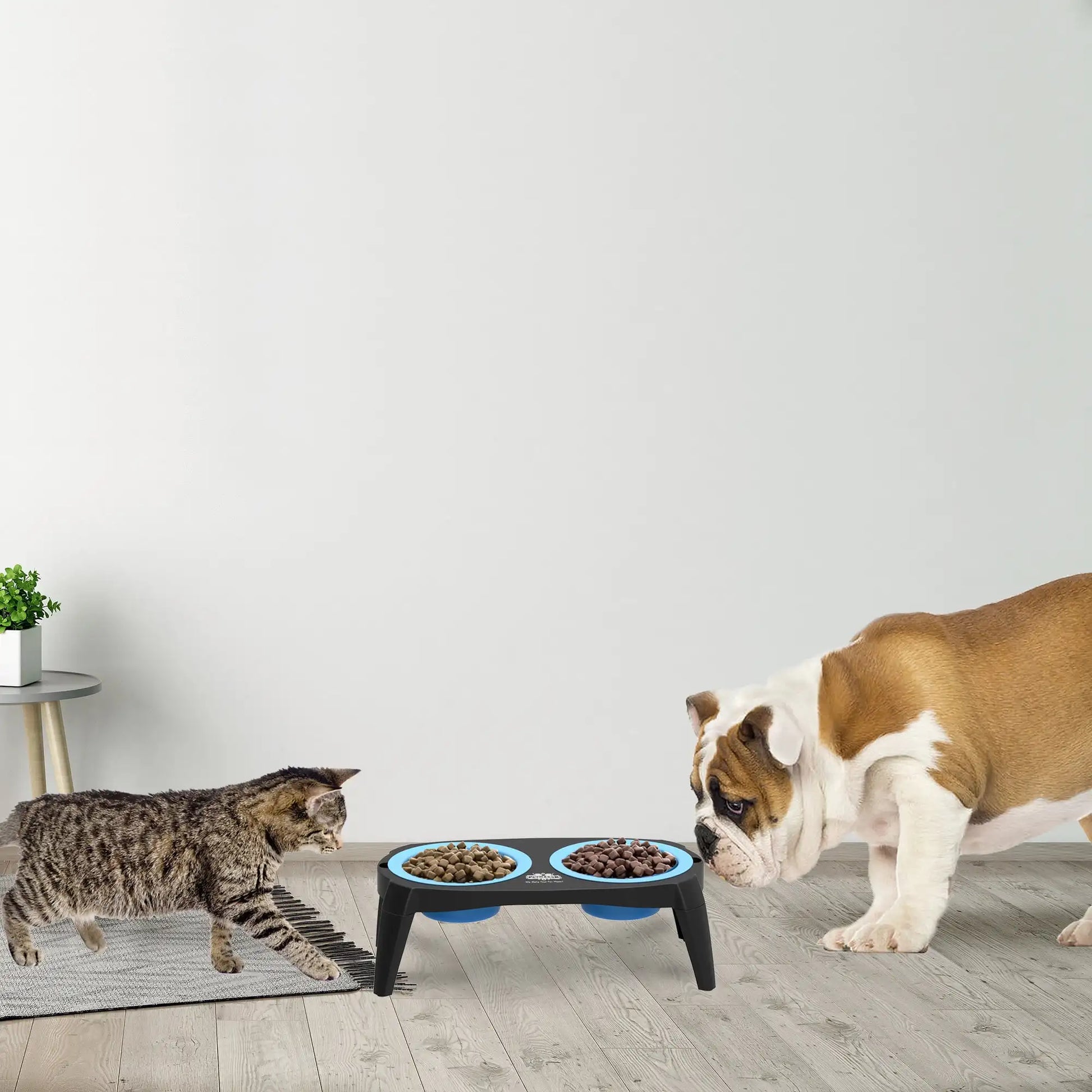 Elevated Pet Bowls with Nonslip Stand for Dog/Cat Food and Water - Pape'sShop