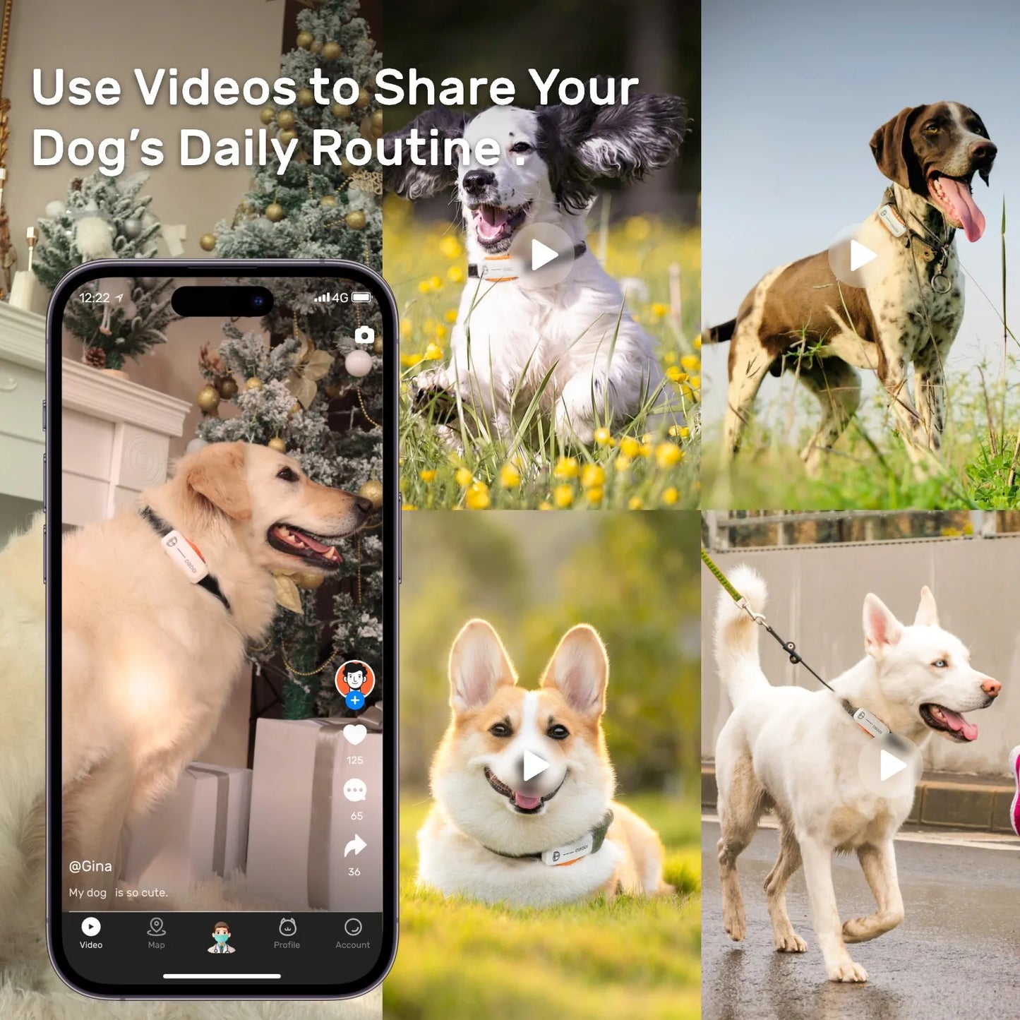 Dog GPS Tracker Smart GPS Tracker Dogs Real Time Location Escape Alerts Activity Tracking Waterproof Compatible with iOS Android - Pape'sShop