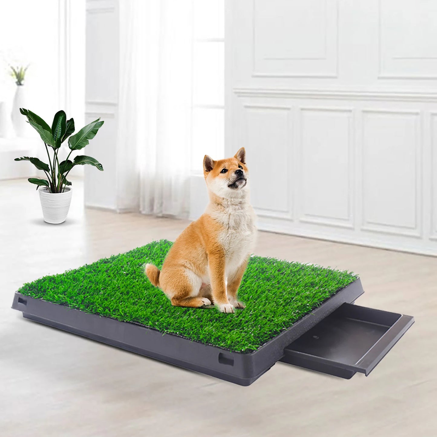 2PCS Realistic Artificial Grass Rug for Pet Potty Training, Synthetic Dog Pee Grass Turf Patch Carpet Pad for Indoor Outdoor - Pape'sShop