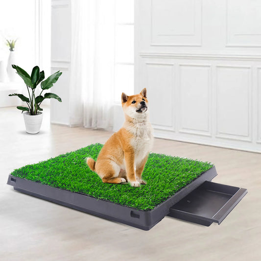 2PCS Realistic Artificial Grass Rug for Pet Potty Training, Synthetic Dog Pee Grass Turf Patch Carpet Pad for Indoor Outdoor - Pape'sShop