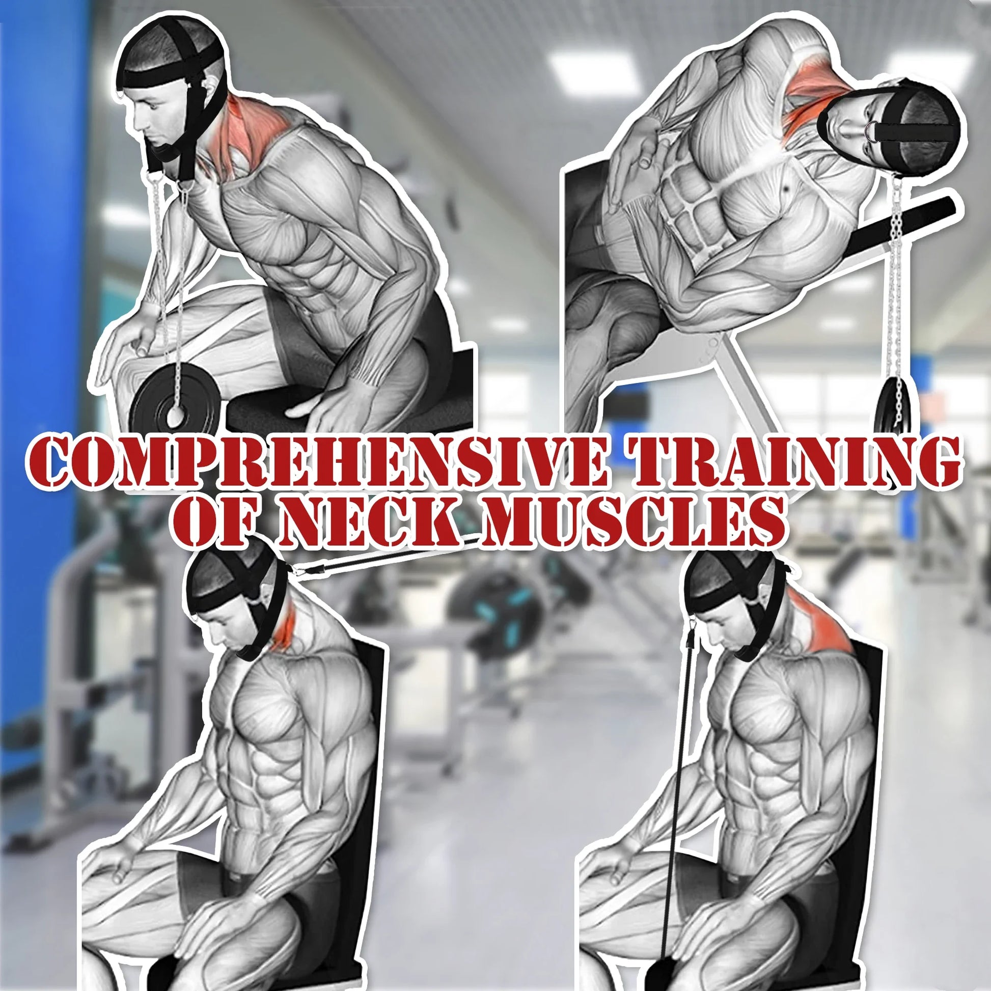 Multifunction Neck Workout Harness Weight Lifting Strength Powerlifting Equipment - Pape'sShop